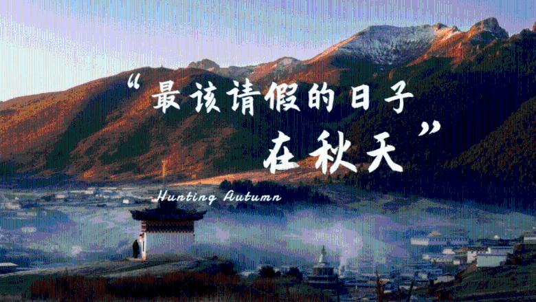 救援小白狼