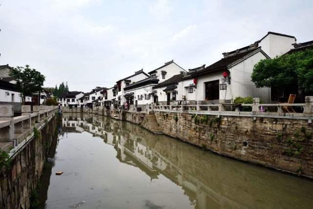 逃出猫头鹰岛